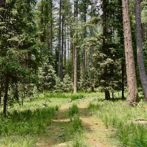 Photo #11833506