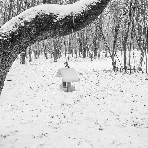 Photo #11833635