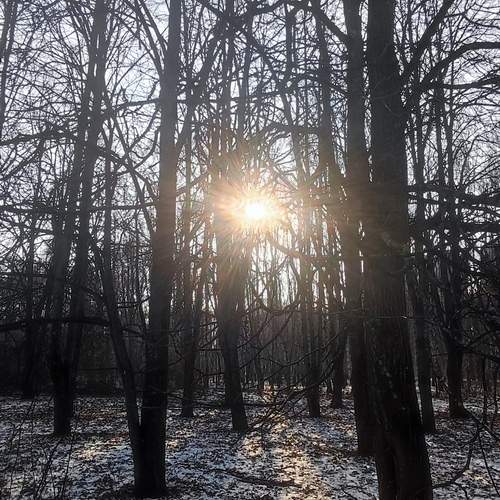 Photo #11833694