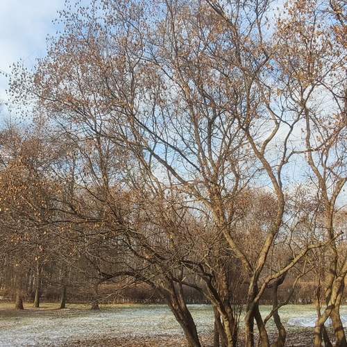 Photo #11833696