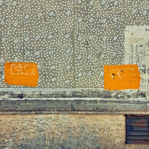 Photo #11833766