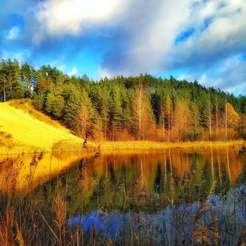 Photo #11833888