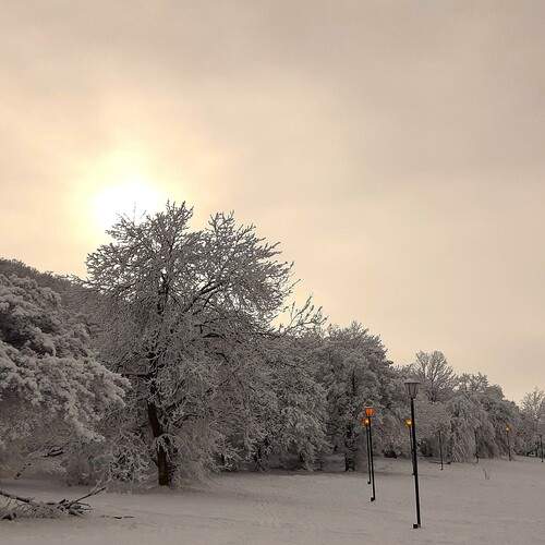 Photo #11833976