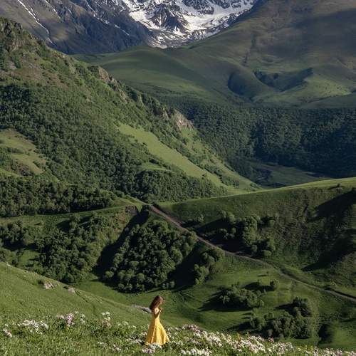 Photo #11834010