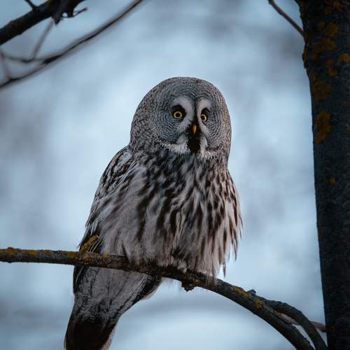 Photo #11834017