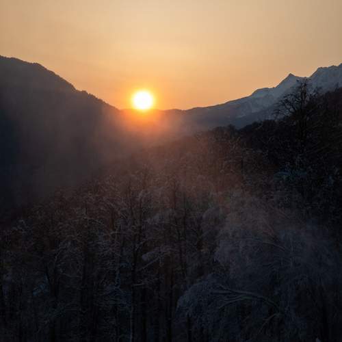 Photo #11834026