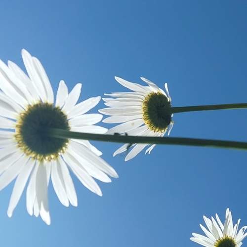 Photo #11834056