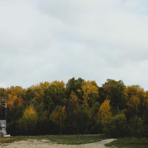 Photo #11834323