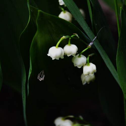 Photo #11834334