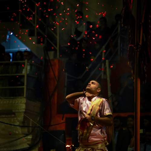 Photo #11834442