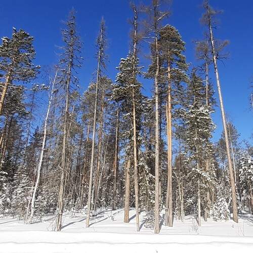 Photo #11834476