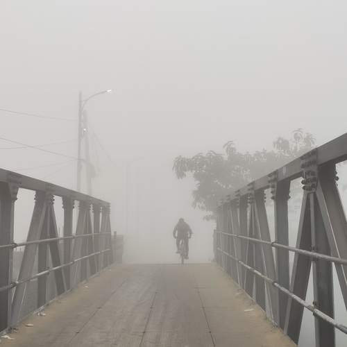Photo #11834613