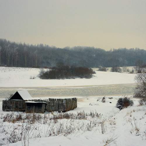 Photo #11834634