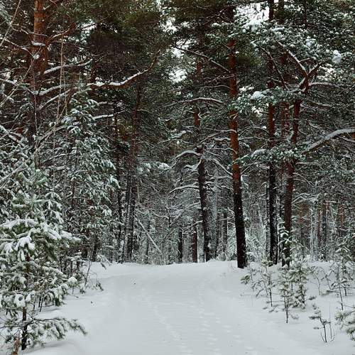 Photo #11834718