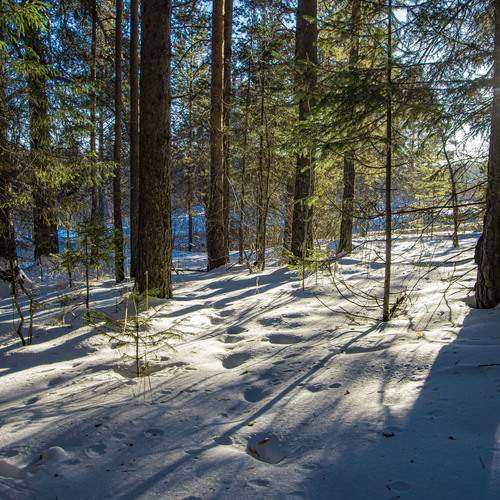 Photo #11834742
