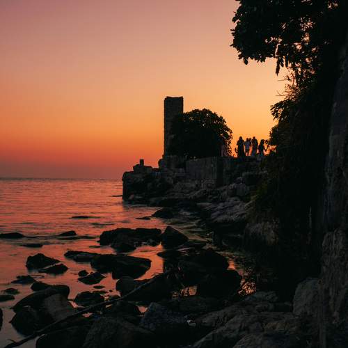 Photo #11834807