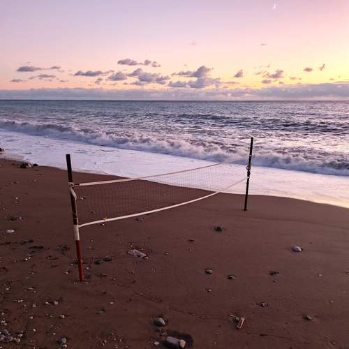 Photo #11834833