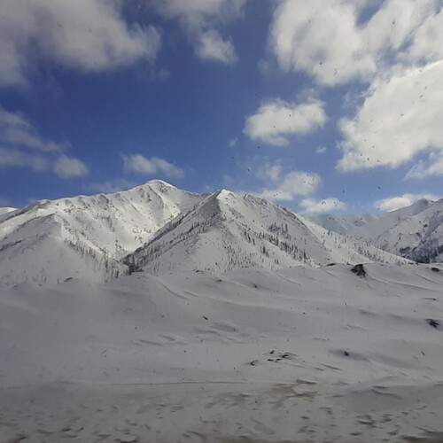 Photo #11834842