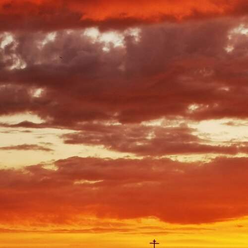 Photo #11834963