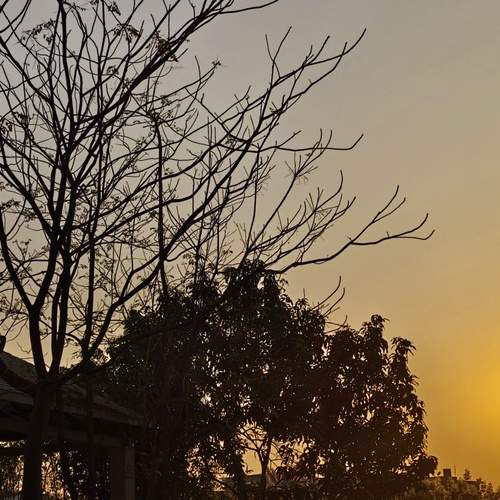 Photo #11835023