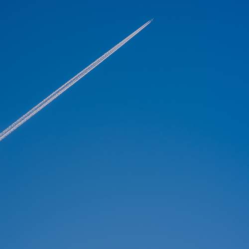 Photo #11835036