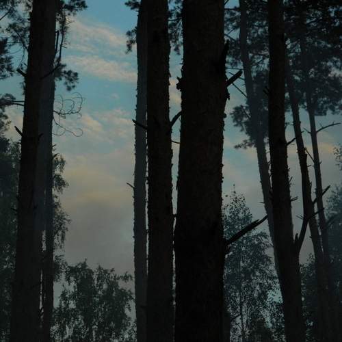 Photo #11835070