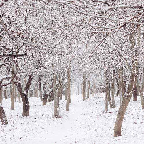 Photo #11835167