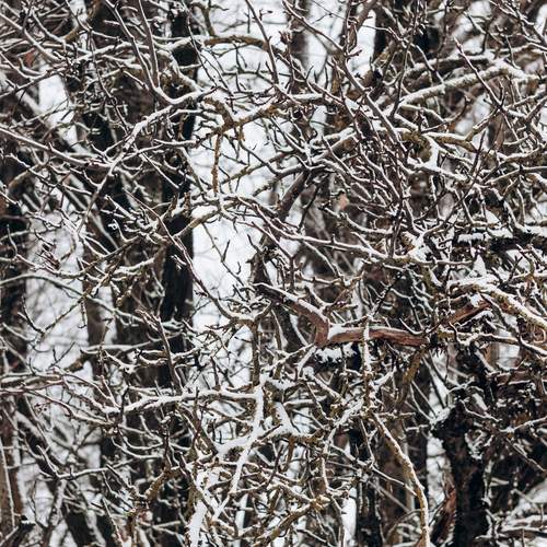 Photo #11835170