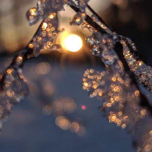 Photo #11835216