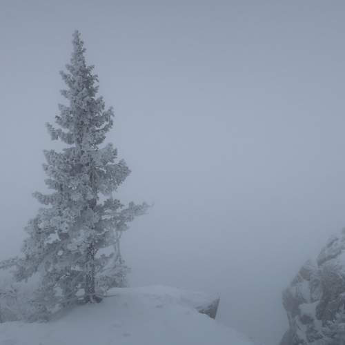 Photo #11835493
