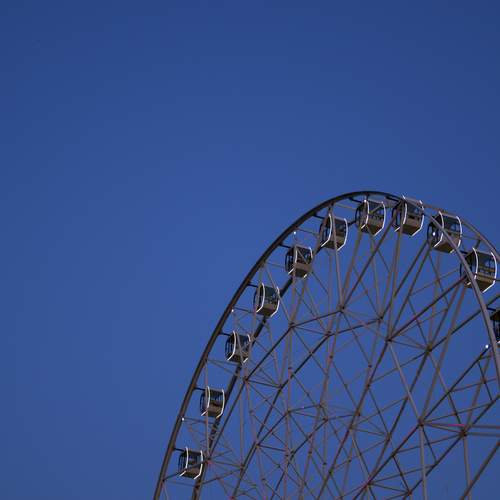 Photo #11835498