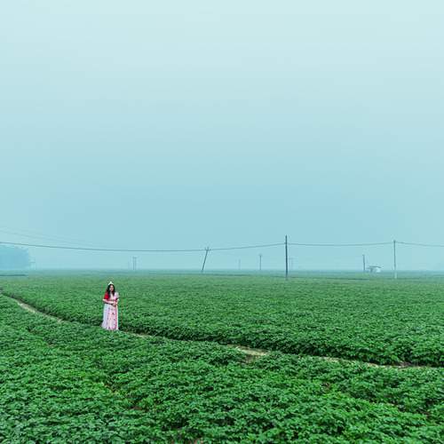 Photo #11835577