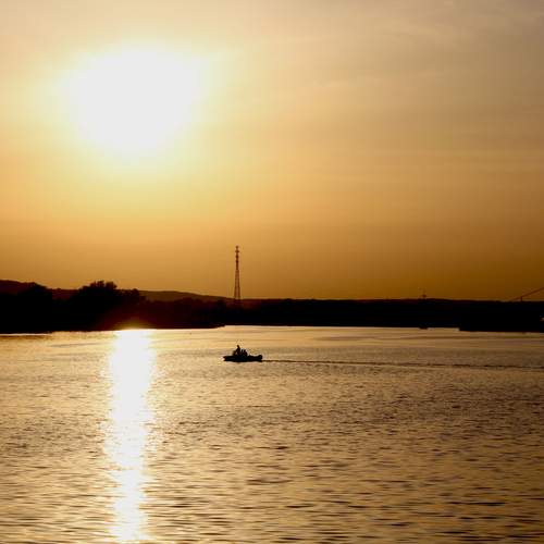 Photo #11835606