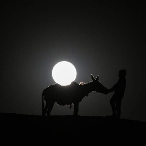 Photo #11835726
