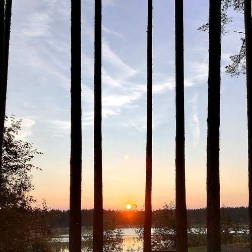 Photo #11835849