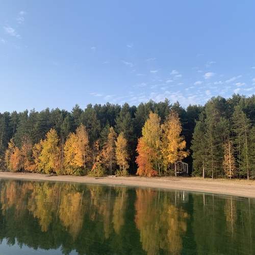 Photo #11835883