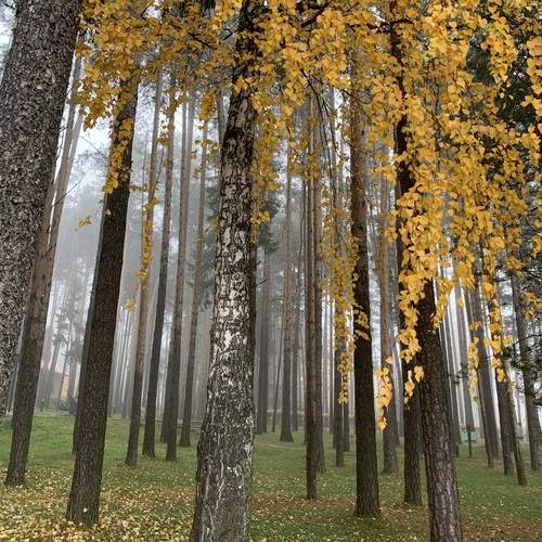 Photo #11835884