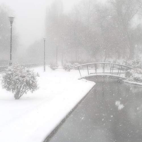 Photo #11836047