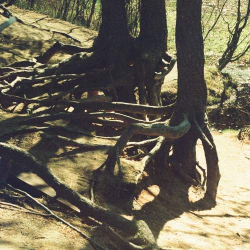 Photo #11836149
