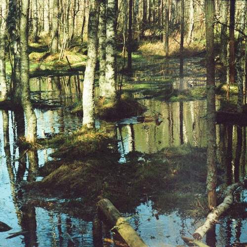 Photo #11836152