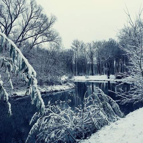 Photo #11836261