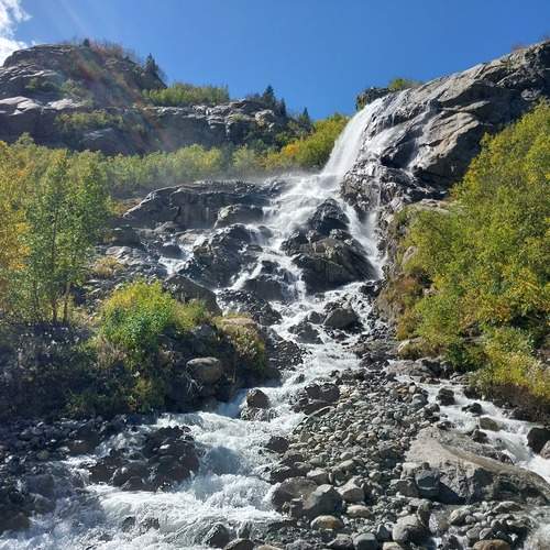 Photo #11836263