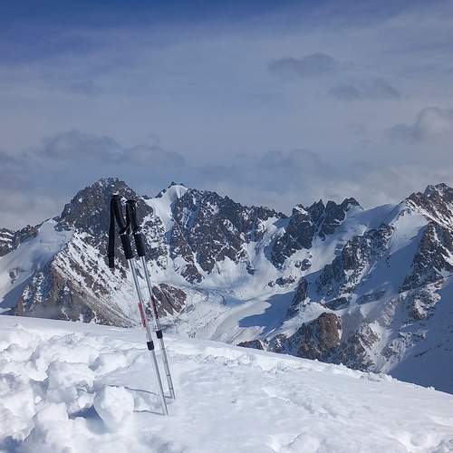 Photo #11836355