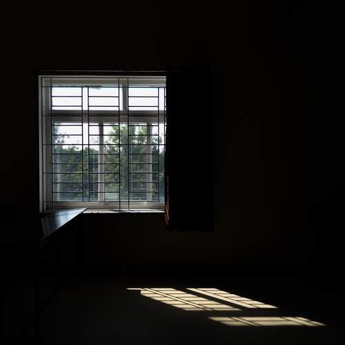 Photo #11836398
