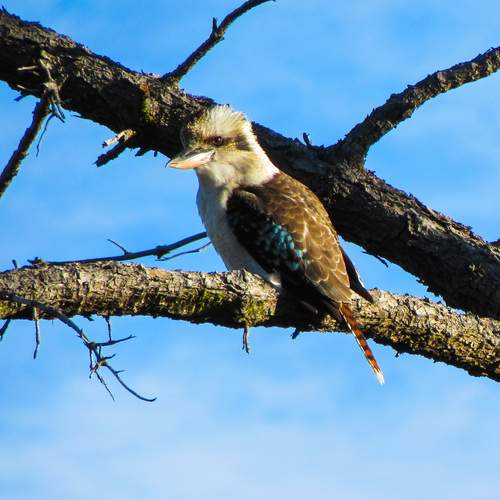 Photo #11836418