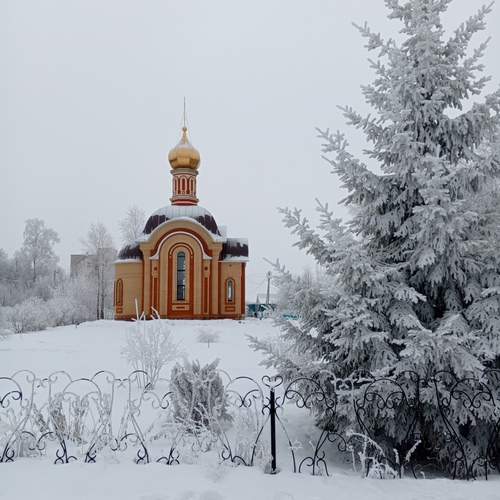 Photo #11836472