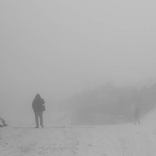Photo #11836606