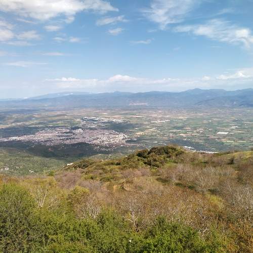Photo #11836757