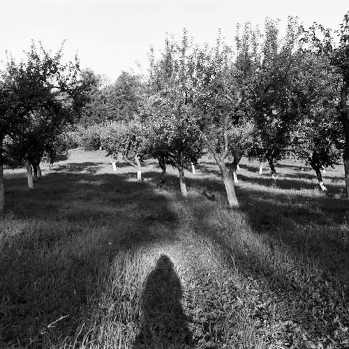 Photo #11837302