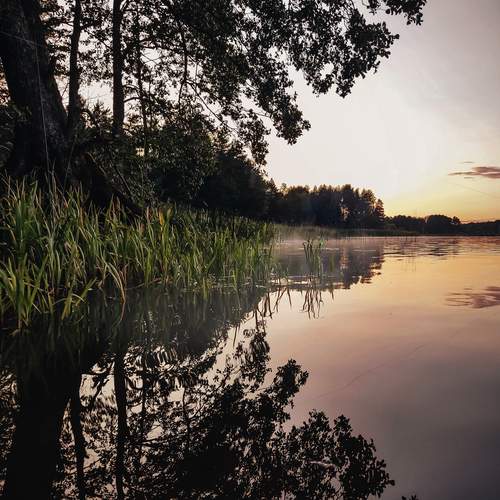 Photo #11837350